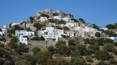 A hill with white houses, partly dilapidated ruins and Mediterranean vegetation under a blue sky,