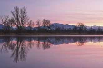 Rigi reflected in the flooded nature reserve in the evening light, Reussspitz, Hünenberg, Canton