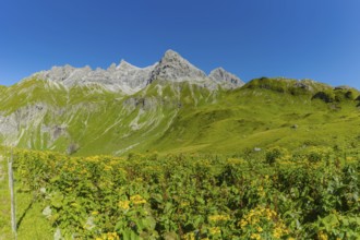Panorama from the Kemptner Hütte, 1844m, to the Muttlerkopf, 2368m, Allgäu Alps, Allgäu, Bavaria,