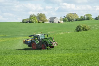 Tractor spreading fertilizer on a field with green crops in Sjörup, Ystad municipality, Skåne