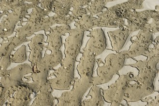 Detailed view of abstract, natural sand patterns on the coast, Plage Saint Efflamm,