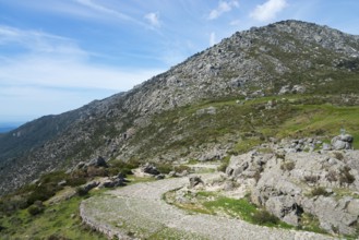 A winding road leads through a rocky landscape with green vegetation and high mountains in the