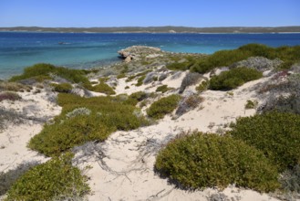 Landscape on Dirk Hartog Island, Dirk Hartog Island National Park, named after the Dutch navigator