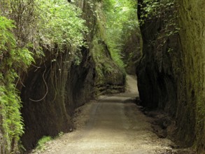 Etruscan path carved into tuff rock, ancient road of the devil, hollow way, Via Cava Il Cavone at