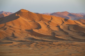 Sand dunes in the Rub Al Khali desert, the world's largest sand desert, Empty Quarter, Oman