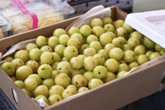 Cardboard box with 'Phyllanthus Emblica' Indian gooseberry fruits