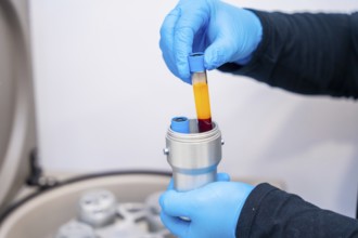 Close-up of the hands of a technician holding samples of blue next to centrifuge machine