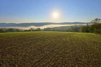 Crop field with forest and hills in the morning light, the sun shines in the blue sky, Großheubach,
