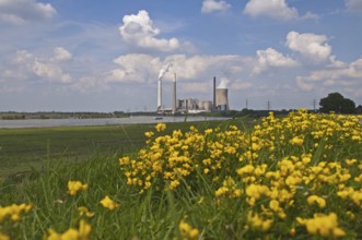 STEAG EVONIK Walsum coal-fired power station, Duisburg, Rhine, North Rhine-Westphalia, Ruhr area,