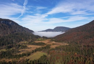 Early morning mist in the Egelsee nature reserve with a view of the Gaisberg, moorland, Puch near
