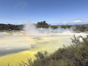 Champagne Pool at the Waiotapu Thermal Track in the colourful geothermal area of Waiotapu Thermal