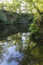 Old quarry with reflection, Callenberg, Schirgiswalde-Kirschau, Upper Lusatia, Saxony, Germany