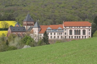 View of mission house church built in 1905, landscape, forest, rape field, mission house,