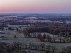 Landscape in the Drömling UNESCO Biosphere Reserve in the Altmark at dawn on a cold spring day.