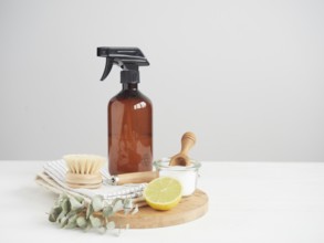 Natural cleaning product in reusable recycled glass bottle. Lemon and baking soda. Natural bristle