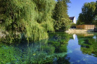 Blauer Quelltopf, Urspring spring, Urspring near Schelklingen, Swabian Alb, Baden-Württemberg,