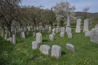 Jewish cemetery, established 1734, last occupancy 1934, Hagenbach, Upper Franconia, Bavaria,