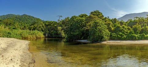 River through the rainforest flowing into Castelhaos beach on Ilhabela island in Sao Paulo, Brazil