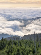 View from the summit of the Dreisesselberg (1333m) over forest and sea of fog, inversion weather,