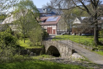 Historic bridge over the Triebisch, in the background the Furkert-Bartsch mill, Miltitz,