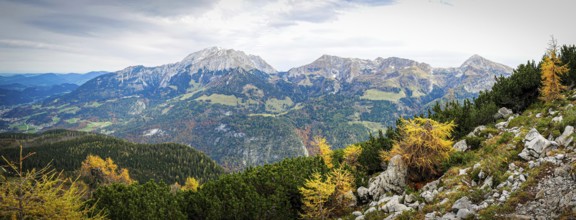 Yellow-coloured larches in the Berchtesgaden National Park in autumn, view to the Hohe Göll,