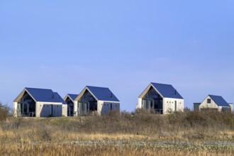 Tiny houses, beach houses in dunes at Molecaten Park Waterdunen, camping and holiday park along the