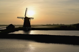 Historic windmill in the light of the setting sun, De Traanroeier, Het Noorden Molen, Texel, North