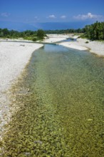 River Brenta near Tezze sul Brenta, Veneto, Italy