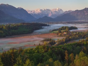 Aerial view, trees, forest, light green leaves, morning light, fog, mountains, sunny, spring, near