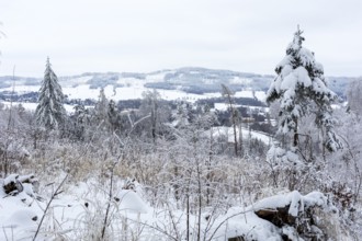 View from Czorneboh to Cunewalde in winter, in the background the Bieleboh, Upper Lusatia, Saxony,