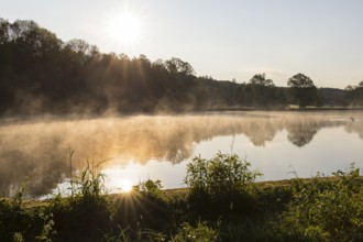 Morning atmosphere with light fog, Horkaer Teich, Bischofswerda, Saxony, Germany