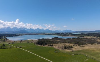 View of the Bannwaldsee in front of a mountain backdrop with green meadows and a clear blue sky,