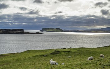 Farms over Loch Harport, Drynoch, Isle of Skye, Scotland, UK