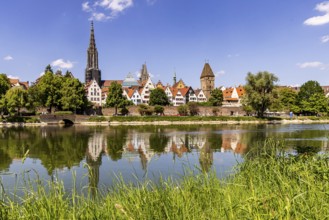 City view of Ulm with the Danube. Ulm Minster, Metzgerturm and old town. Ulm, Baden-Württemberg,