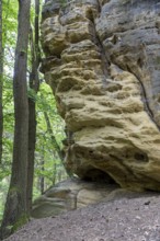 Bizarre rocks on the hiking trail to Kleiner Bärenstein, Saxon Switzerland, Saxony, Germany