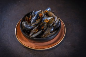 Mussels in sauce on a black background, in an orange plate