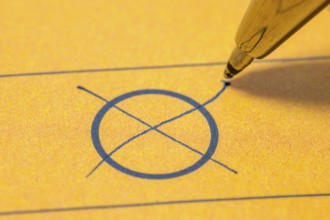 Ballot paper, ballot paper, ballot cross, circle, cross, ticked, biros