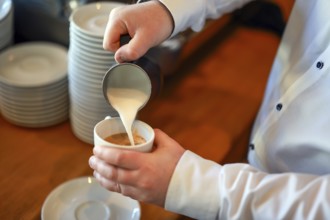 Germany - Barista prepares a coffee, here a cappuccino, hand pours milk foam from a pot into a cup