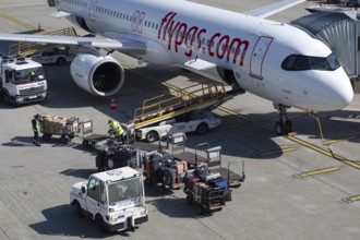 Ground staff handling baggage Pegasus aircraft, TC-RDU, Airbus A321neo