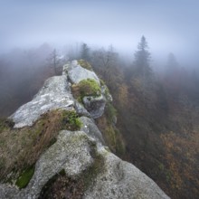 Großer Waldstein, view over rock formation and forest in autumn, dense fog, Fichtelgebirge, Upper