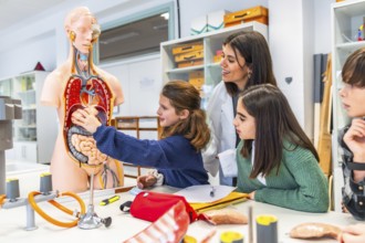 Elementary school students learning human body anatomy with teacher and anatomical model during