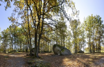Granite rock Teufels Bettstatt, natural monument, Blockheide nature park Park near Gmünd,