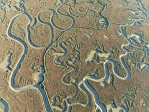 Network of channels and streams at low tide. In the marshland of Isla Cristina. Aerial view. Drone
