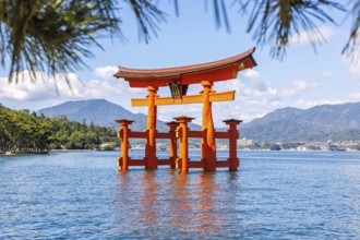 Famous red wooden torii gate UNESCO World Heritage Site on the island of Miyajima, Japan
