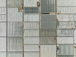 Masses of shimmering plastic greenhouses near El Ejido, aerial view, drone shot, Almería province,