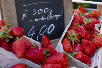 Price tag for fresh strawberries, market, market stall, weekly market market, farmer's market,