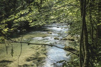 Mangfall near Bruckmühl, district of Miesbach, Upper Bavaria, Bavaria, Germany