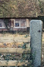 Ivy (Hedera helix) entwines itself around a wooden fence with an old farmhouse behind it, Otersen,