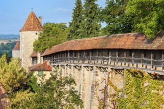 Walkway of the town wall with vine leaves and defence towers in the historic old town, Rothenburg