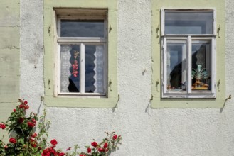 Two windows in an old winegrower's house, Rosenstock, Rhodt unter Rietburg, Southern Palatinate,